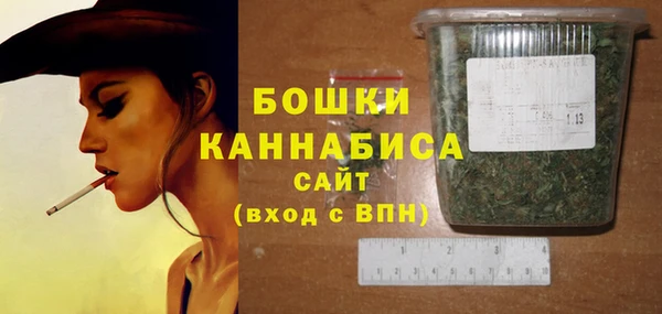 бошки Няндома