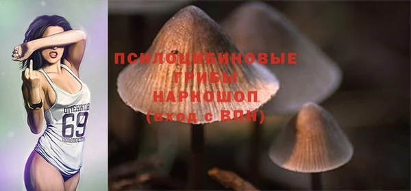 ALPHA-PVP Осташков