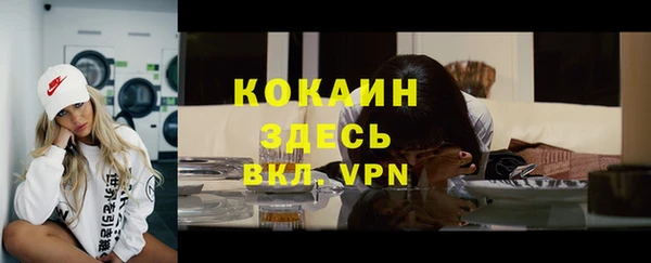 бошки Няндома