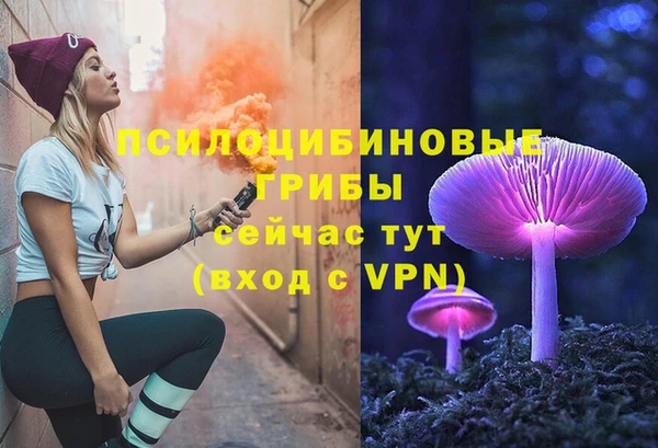 гидропоника Осинники