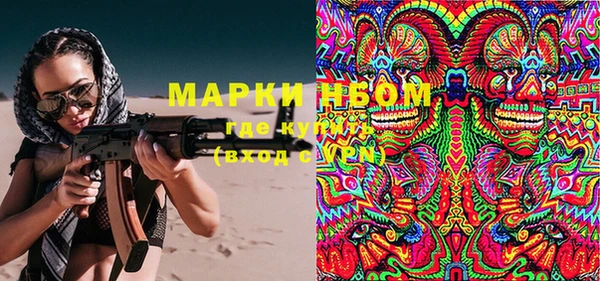 бошки Няндома