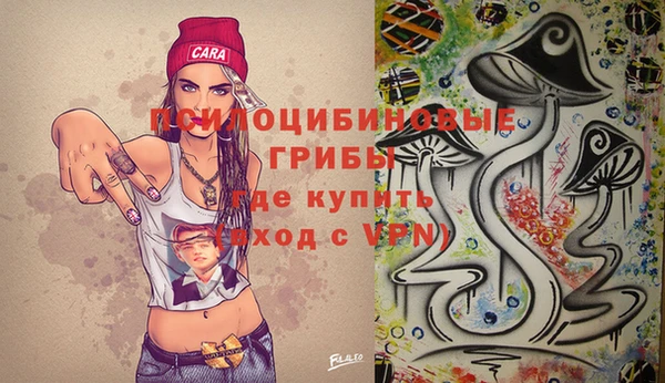 крисы Нязепетровск