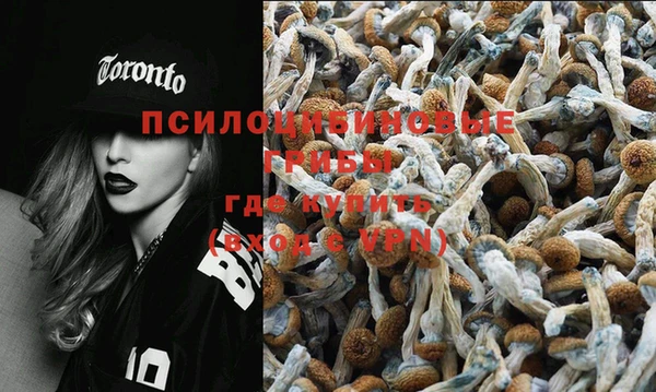 дживик Остров