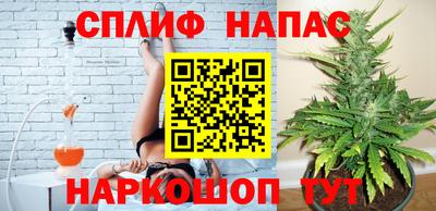 СК Гагарин