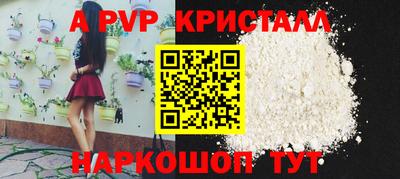СК Гагарин