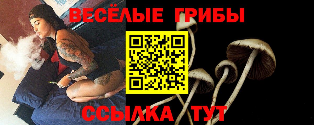Псилоцибиновые грибы GOLDEN TEACHER Чебоксары