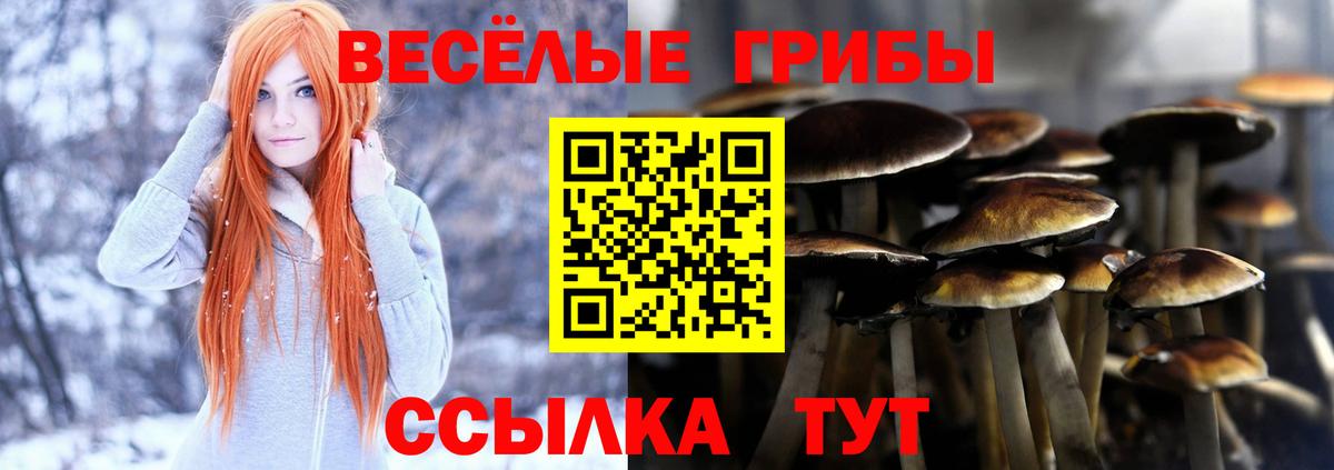 Галлюциногенные грибы прущие грибы  Вход с VPN  Псилоцибиновые грибы GOLDEN TEACHER  Чебоксары 